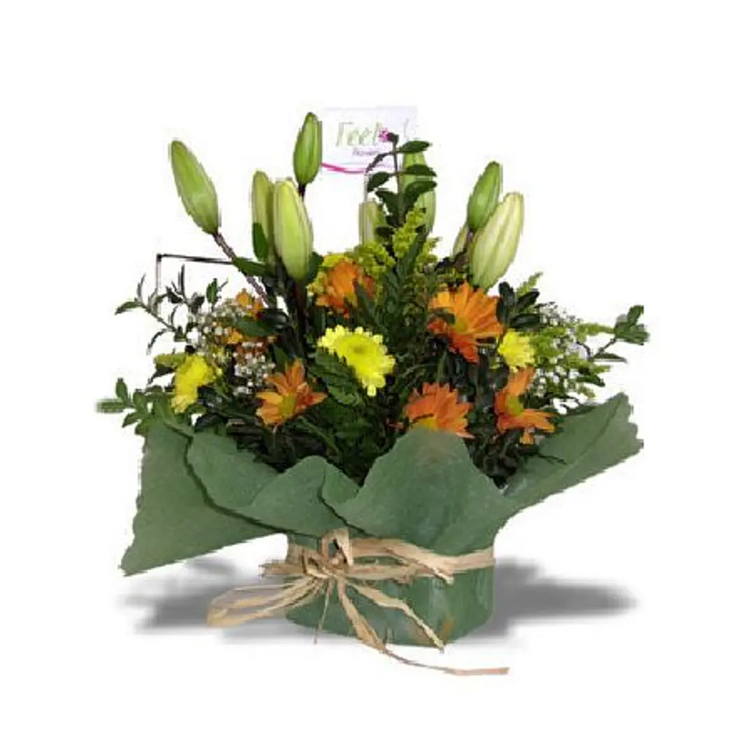 Liliums y maules en base malla 1