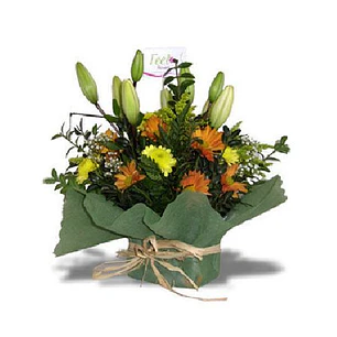 Liliums y maules en base malla