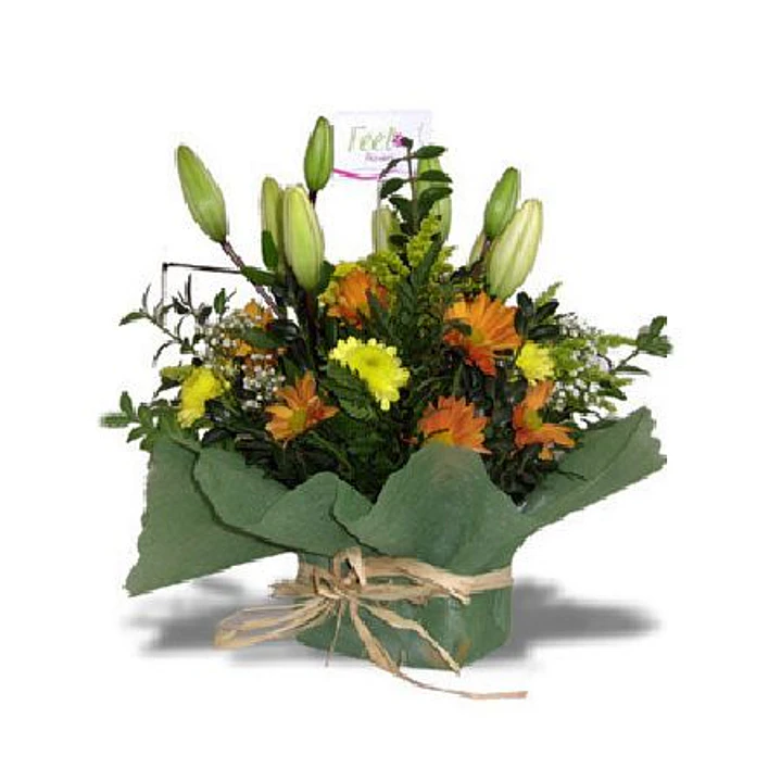Liliums y maules en base malla 1