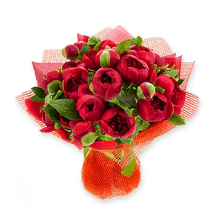 Bouquet de 20 Peonias 
