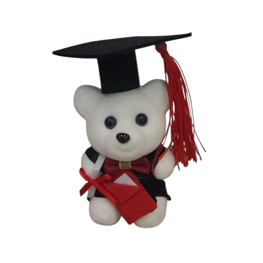 Peluche Pequeño Graduación  1