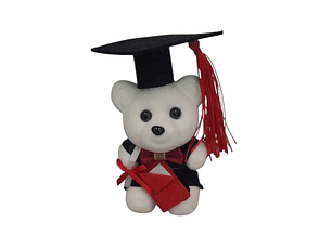Peluche Pequeño Graduación 
