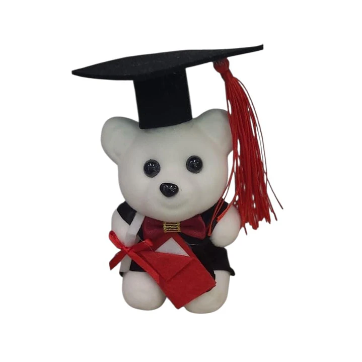 Peluche Pequeño Graduación  1