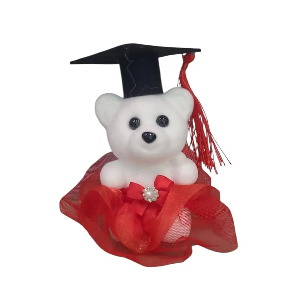 Peluche Pequeño Graduación  2