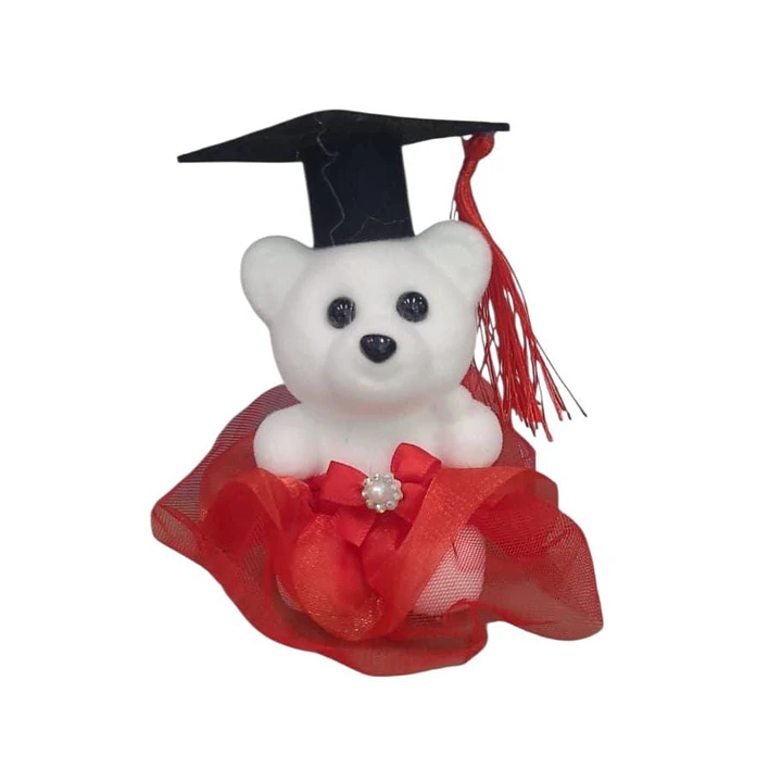 Peluche Pequeño Graduación  2