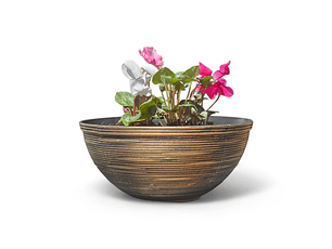 Macetero 3 Violetas | Regalo Elegante 