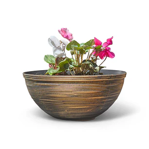 Macetero 3 Violetas | Regalo Elegante 