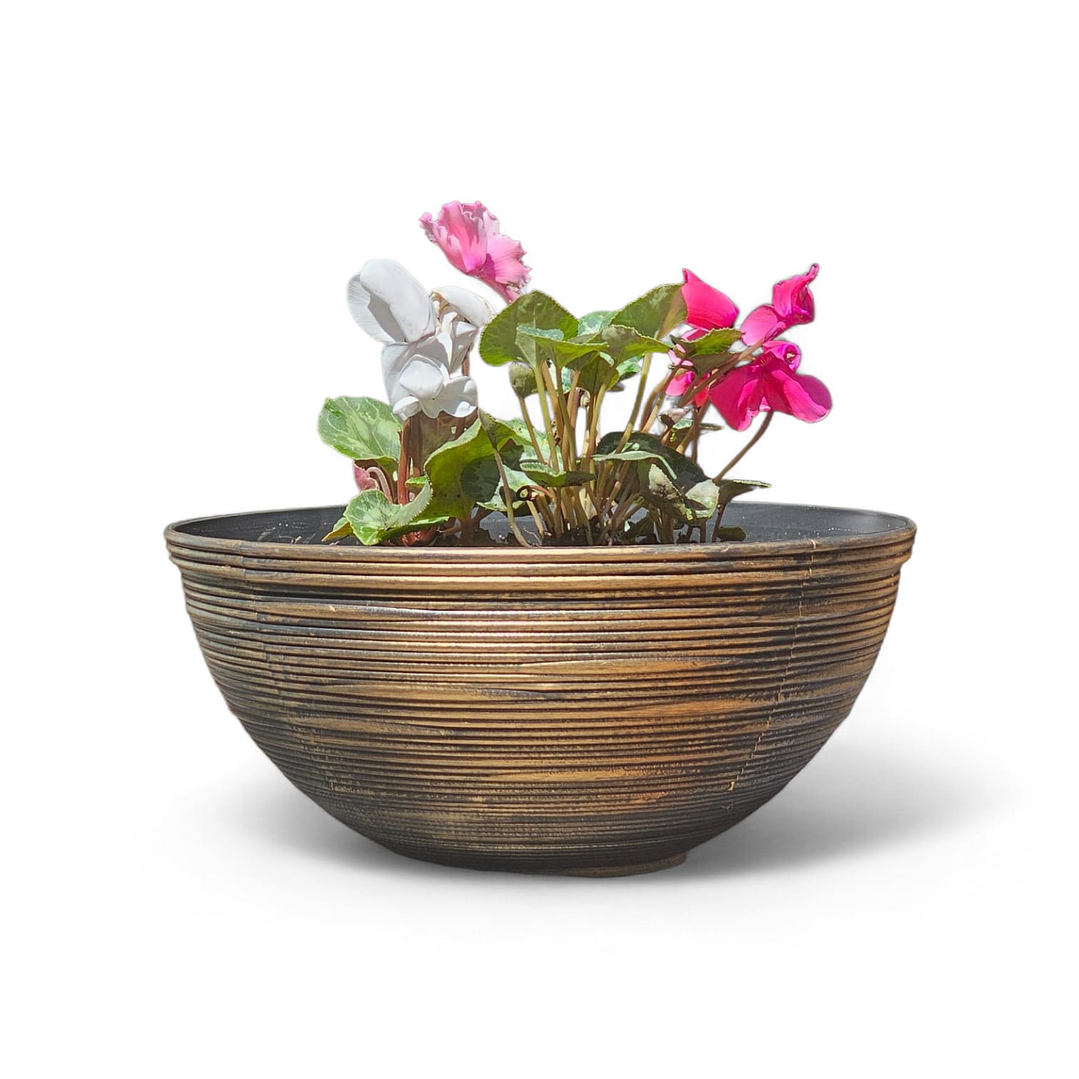 Macetero 3 Violetas | Regalo Elegante  1