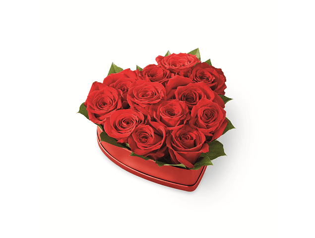 Corazón de 12 rosas  | Regala Amor y Elegancia 