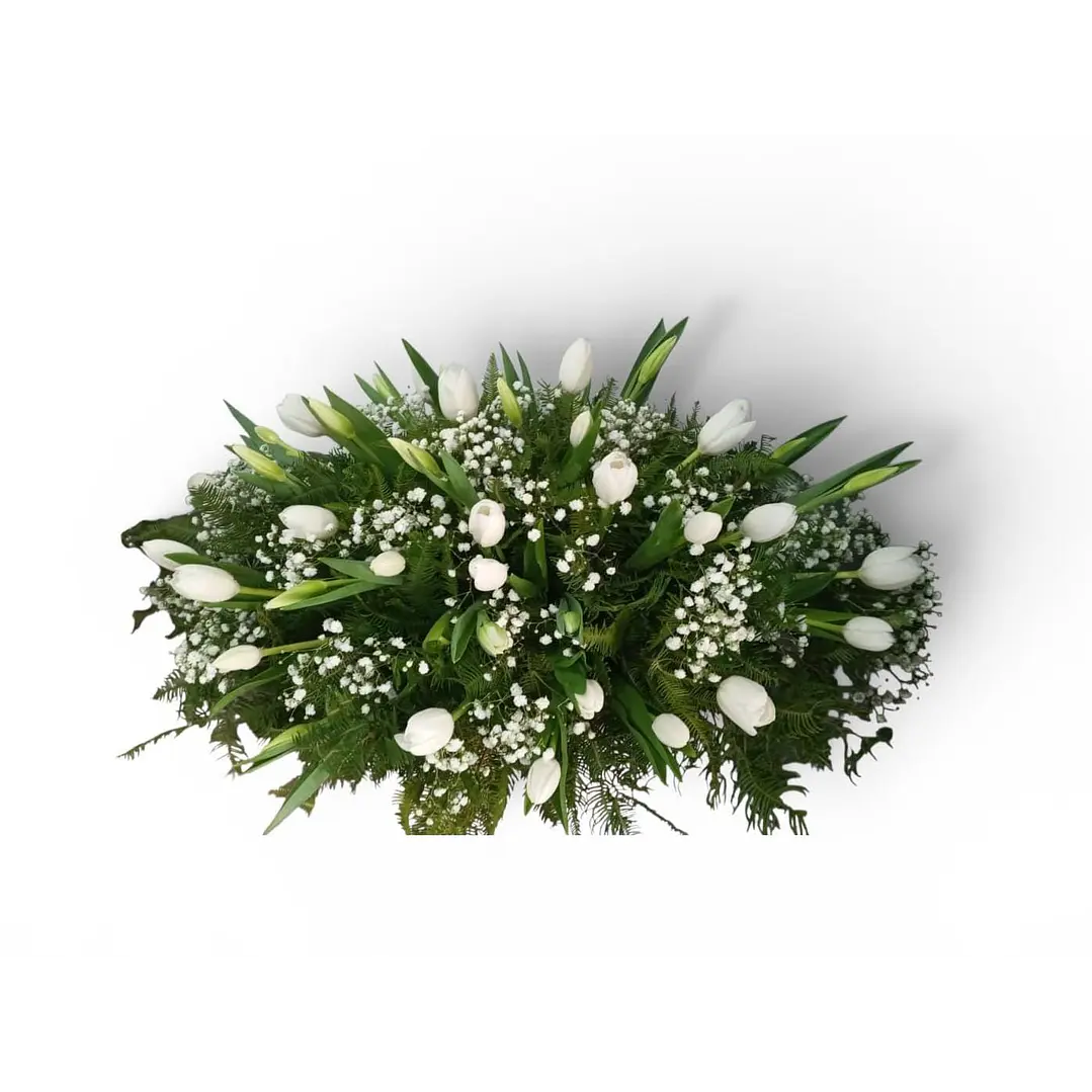 Cubreurna 50 Tulipanes  1