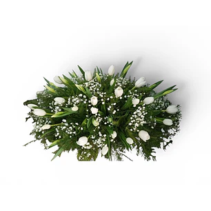 Cubreurna 50 Tulipanes 