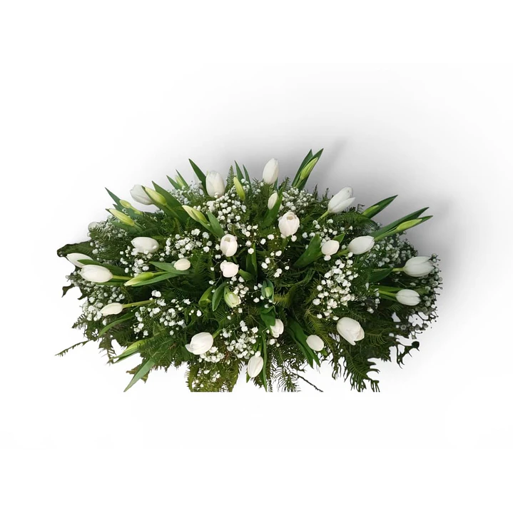 Cubreurna 50 Tulipanes  1