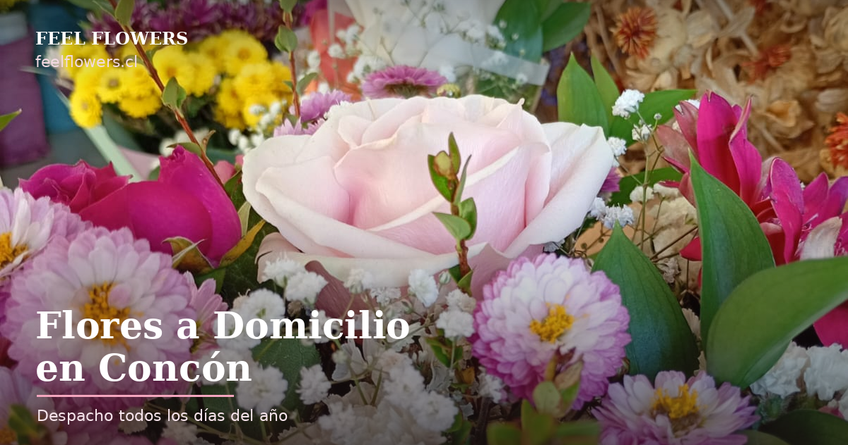 Despacho de Flores en Concón: Zonas y Tiempos de Entrega | Feel Flowers