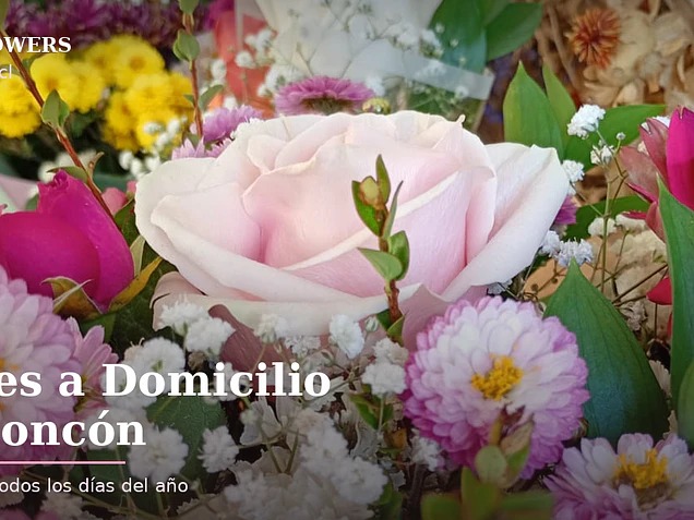 Despacho de Flores en Concón: Zonas y Tiempos de Entrega | Feel Flowers