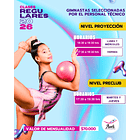 PROYECCIÓN (NIVEL INTERMEDIO) 2