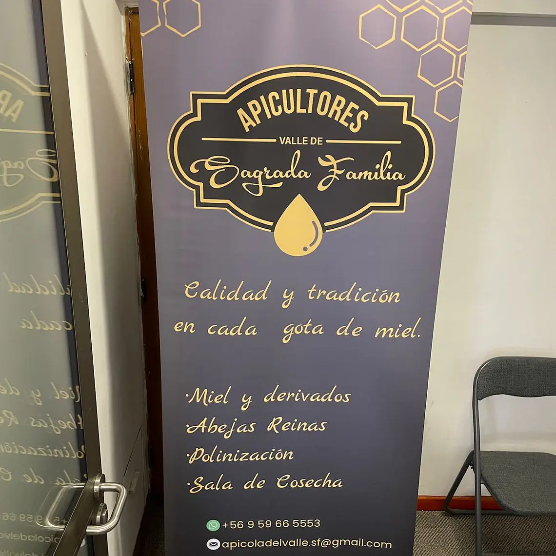 Pendón Roller 3