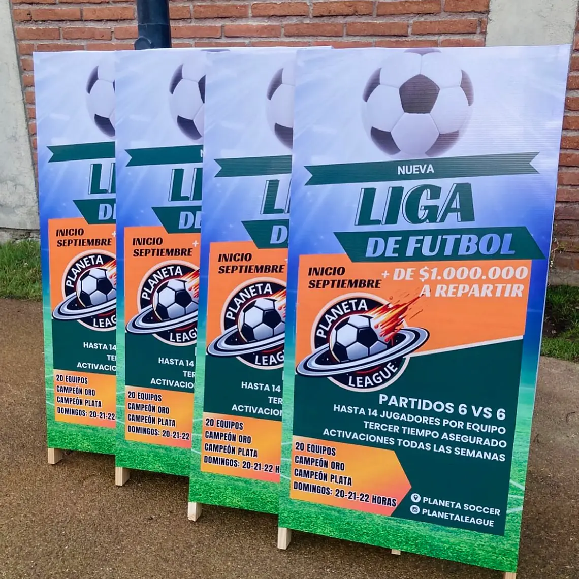 Tela PVC en bastidor 1
