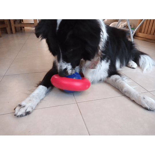 Juguete Interactivo para perro Gyro Kong – Croquetero