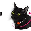 ELLA CAT COLLAR ZEE.CAT ZEE.DOG