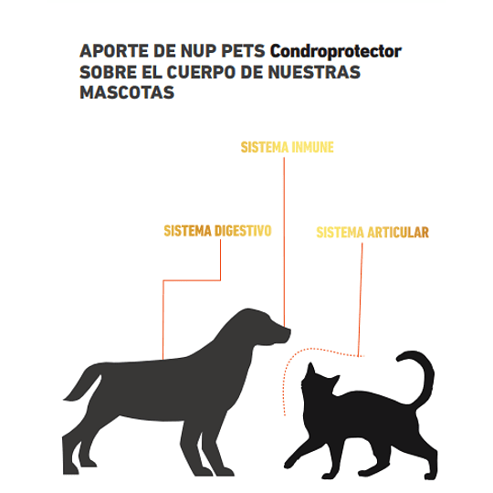 NUP! PETS CONDROPROTECTOR EN POLVO PARA PERROS Y GATOS