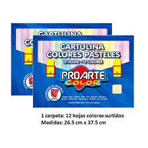 BOLSON DE CARTULINAS PASTELES PROARTE