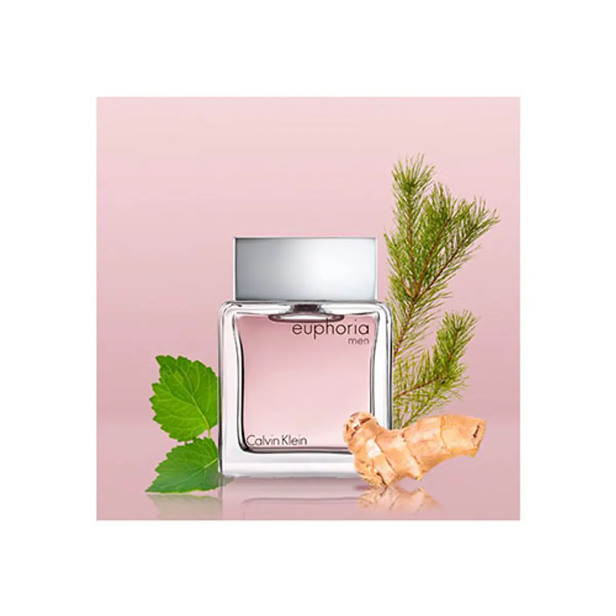 PERFUME IND C.KLEIN EUPHORIA MEN 100ML
