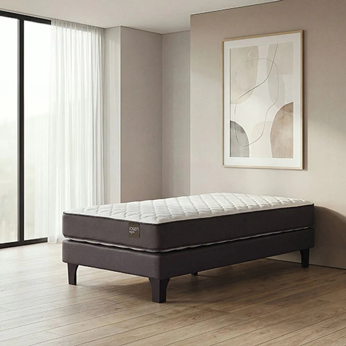 CAMA 1.5P ROSEN ERGO T NEW 3