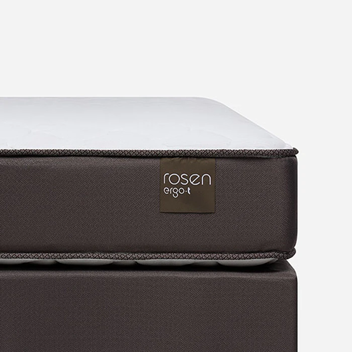 CAMA 1.5P ROSEN ERGO T NEW 6