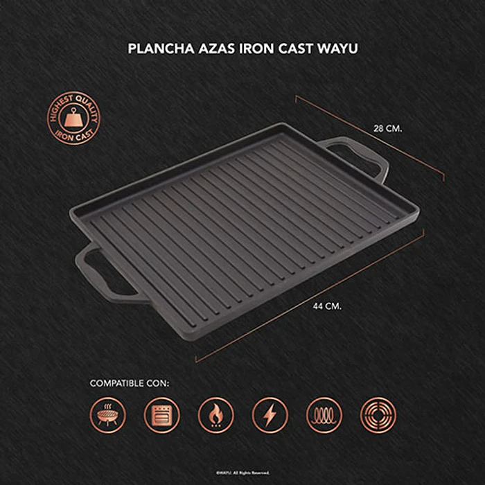 PLANCHA WAYU 312815 IRON CAST AZAS 44 X 28 X 2.2 CM 4
