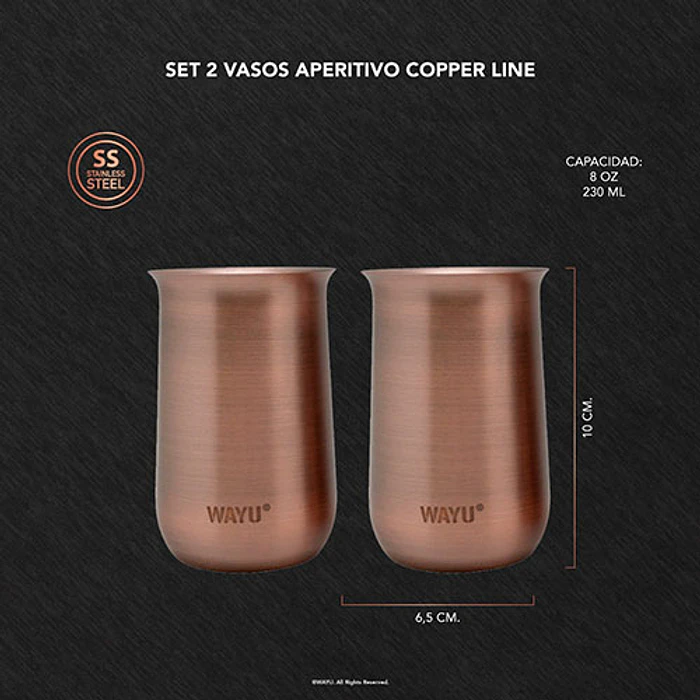 VASOS WAYU 433237 SET X2 APERITIVO COPPER LINE 4