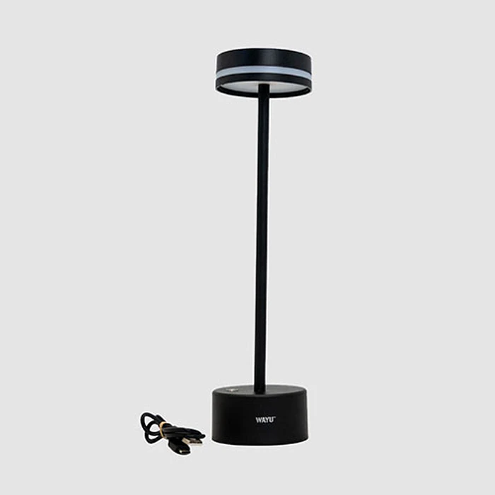 LAMPARA WAYU 491688 QUINCHO USB 1