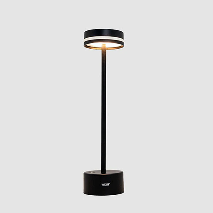 LAMPARA WAYU 491688 QUINCHO USB 4