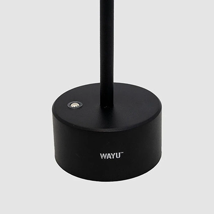 LAMPARA WAYU 491688 QUINCHO USB 5