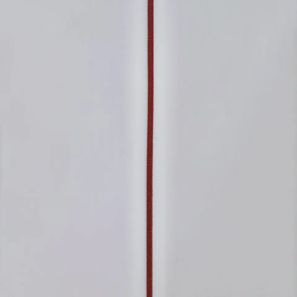 TIRAS DE GAMUZA 12