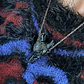 COLLAR LOBA | PLATA - Miniatura 5