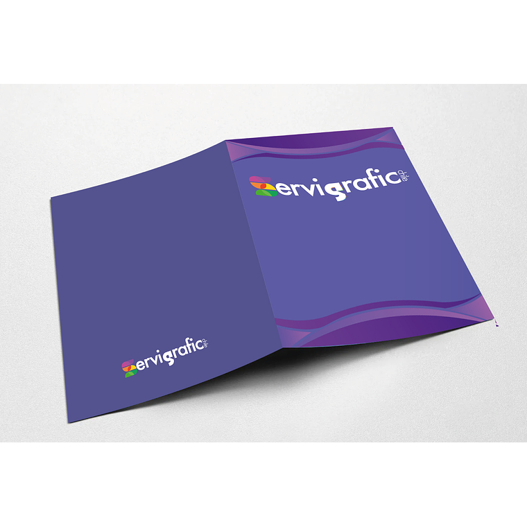 CARPETA CORPORATIVA SIN BOLSILLO 1