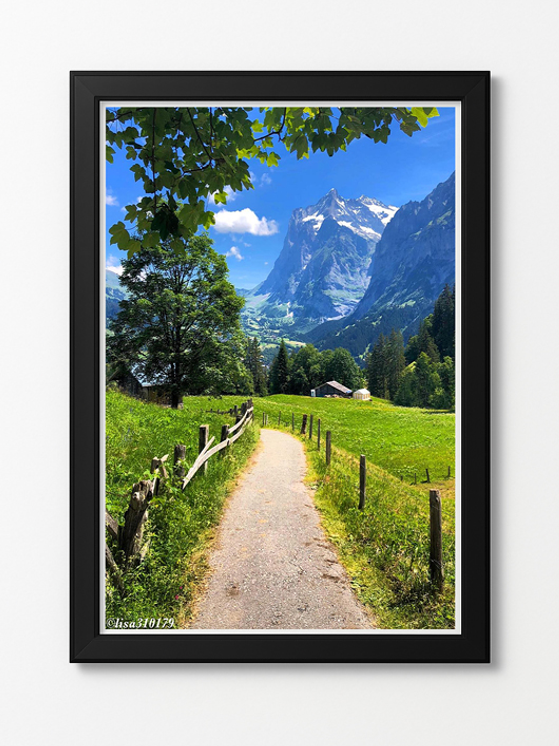 FOTO CUADRO ENMARCADA 2