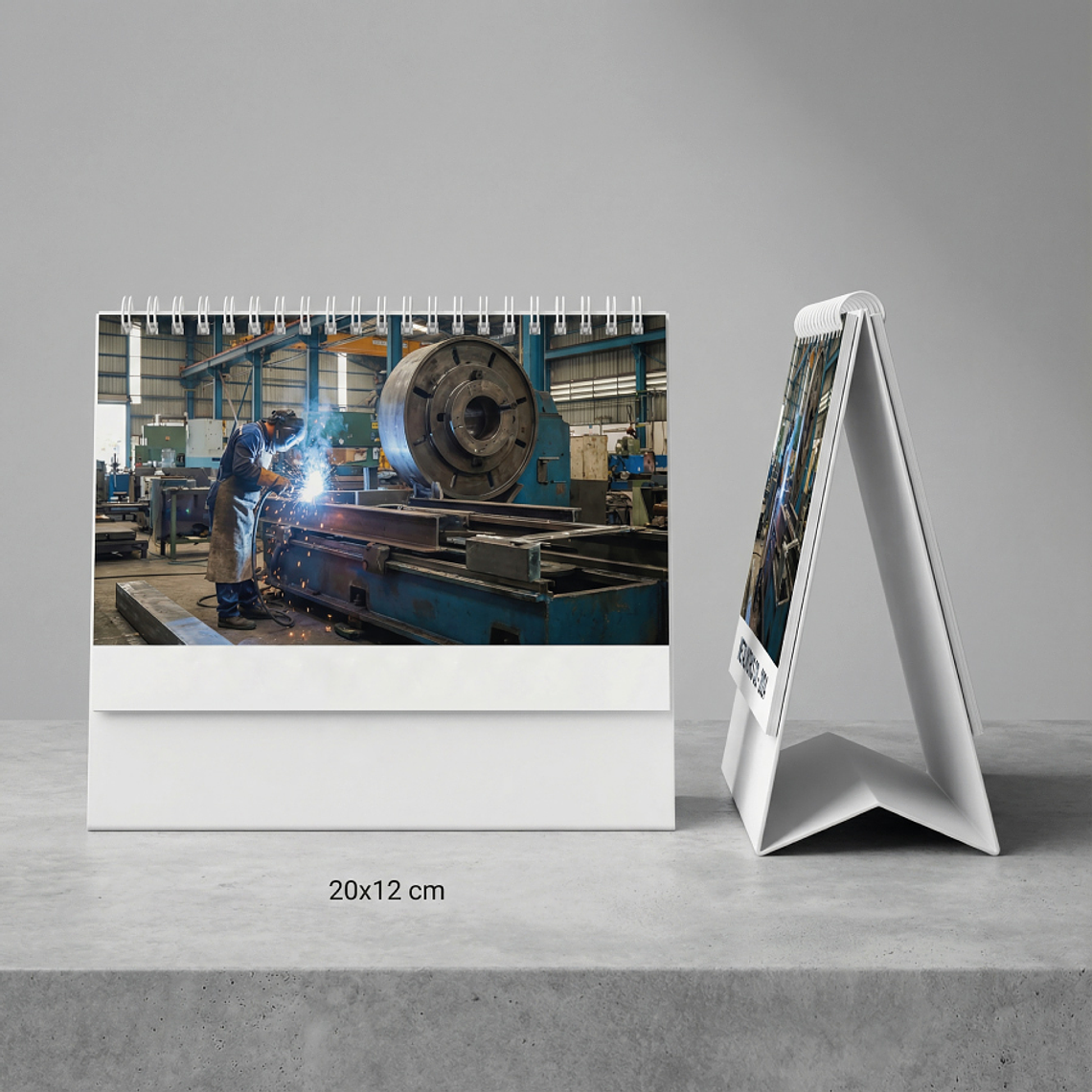 CALENDARIO ESCRITORIO CON LÁMINAS 20X12 2