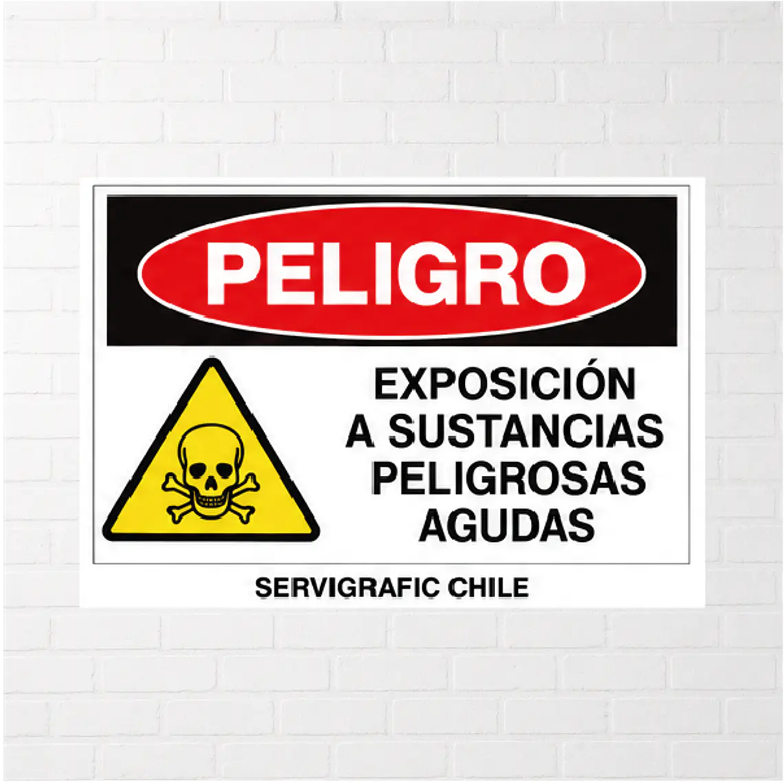 Señalética Exposición a Sustancias Peligrosas Agudas 1