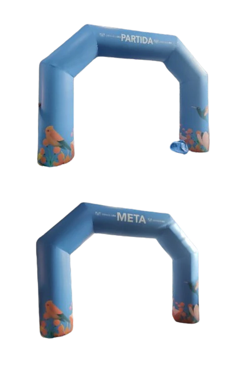 Arco Meta Arica