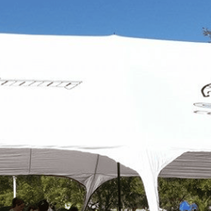 Carpa Araña o Estrella de 20x6 mt 3