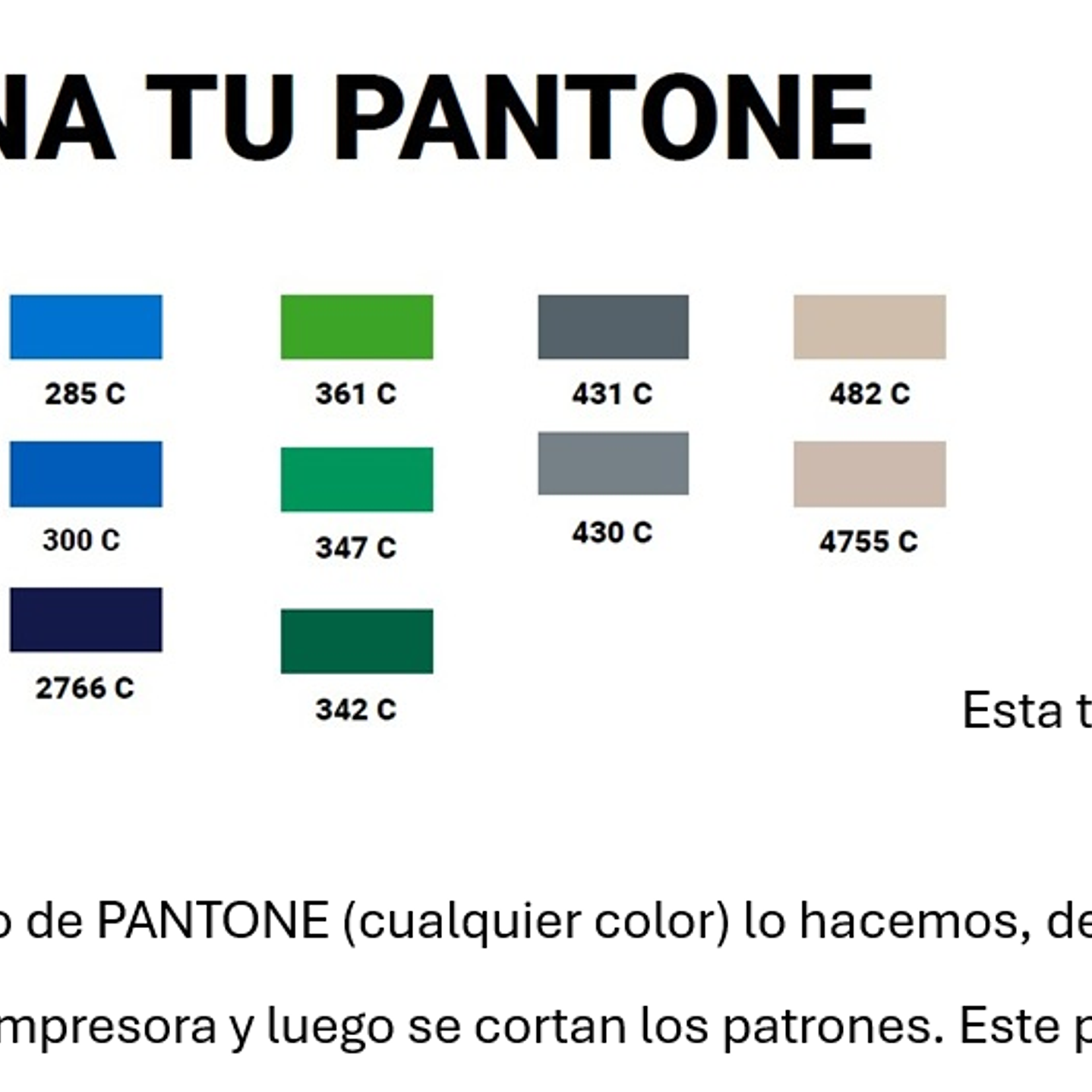 Carpa iglu 6x6 tela PVC impresiones in luidas 4 laterales uno con puerta opcional 2