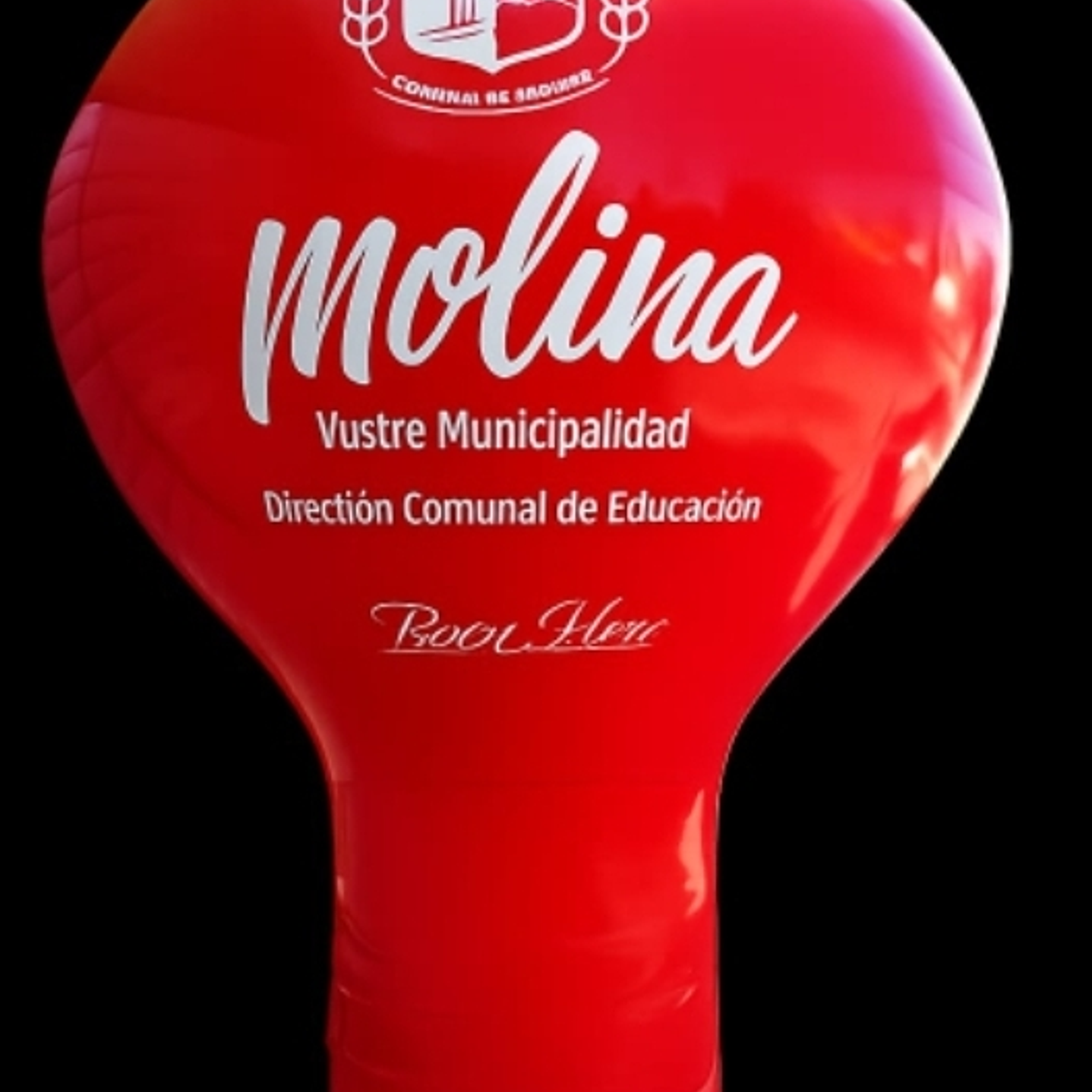 Pera Inflable 6 mt. Inflador 3