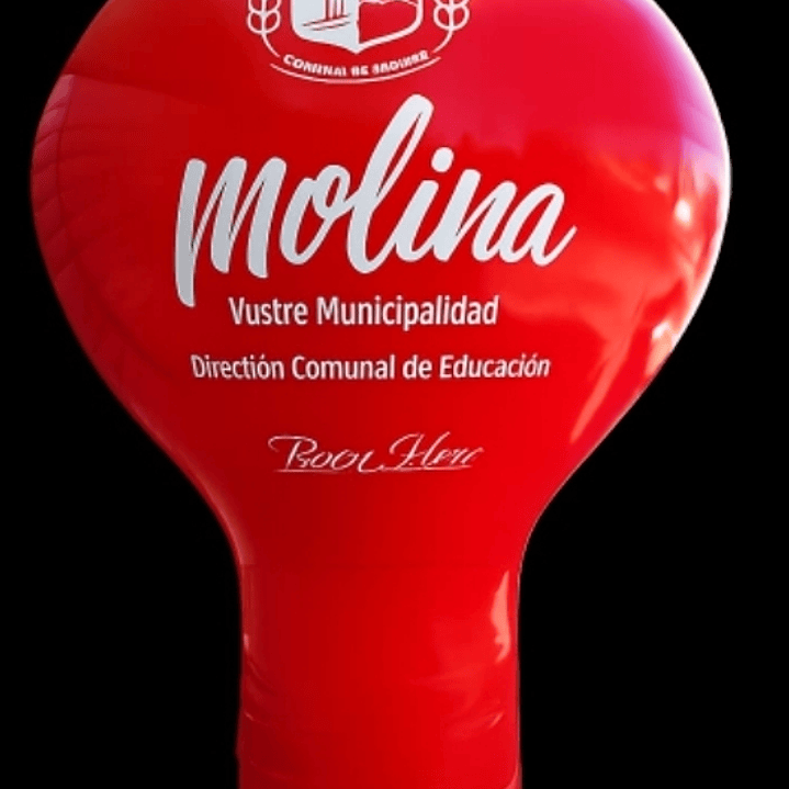 Pera Inflable 6 mt. Inflador 3