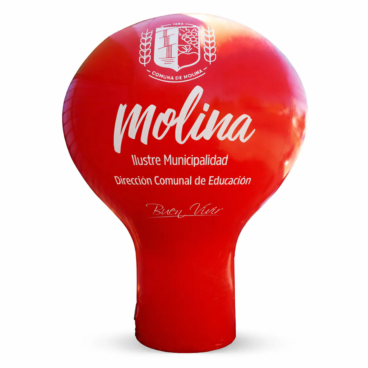 Pera Inflable 3 mt. xx 1 mt Turbina 3