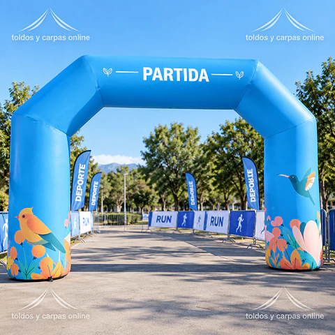 Arco Meta Arica