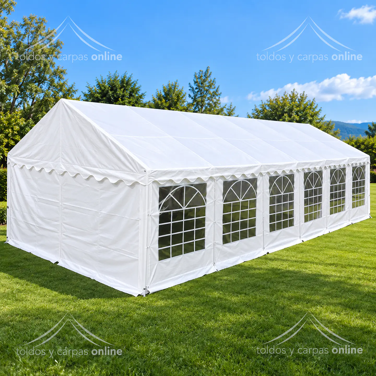 Carpa 12X6 metros PVC impermeable Evento 3