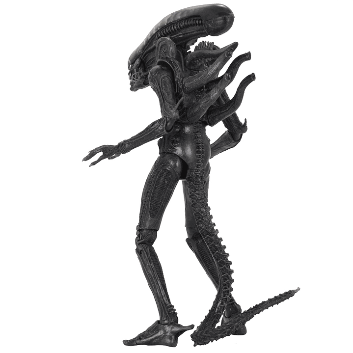 [PRV] Ultimate 40th Anniversary Big Chap 