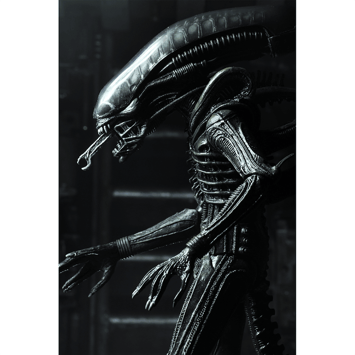 [PRV] Ultimate 40th Anniversary Big Chap 