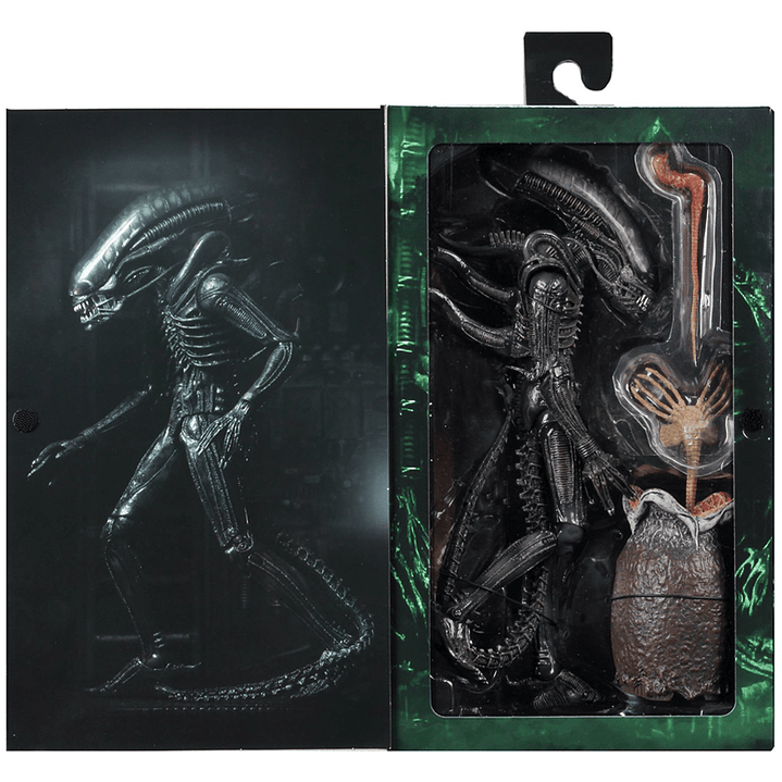 [PRV] Ultimate 40th Anniversary Big Chap 